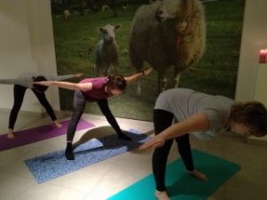 Yoga voor beginners