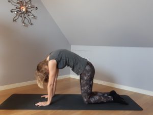 Privé Yoga online Praktijk Adamas